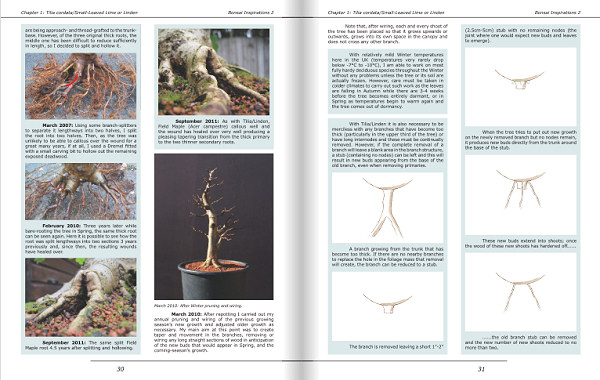 bonsai book